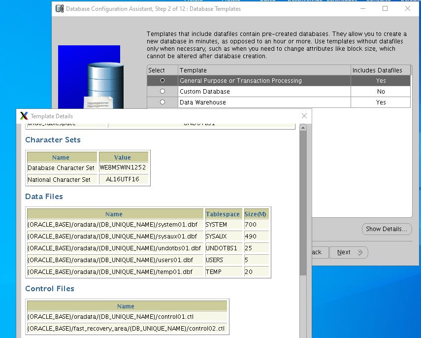 database template oracle