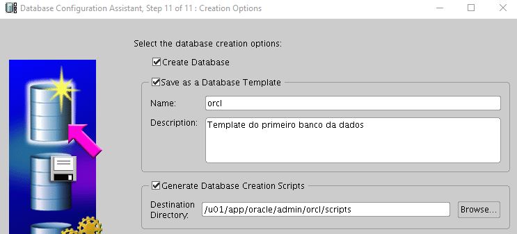 creation options oracle