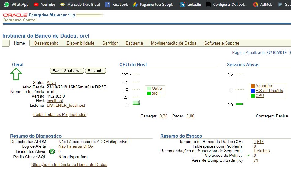 oracle enterprise manager 11g