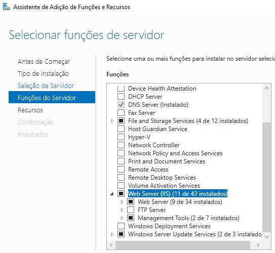 adicionar iis web server