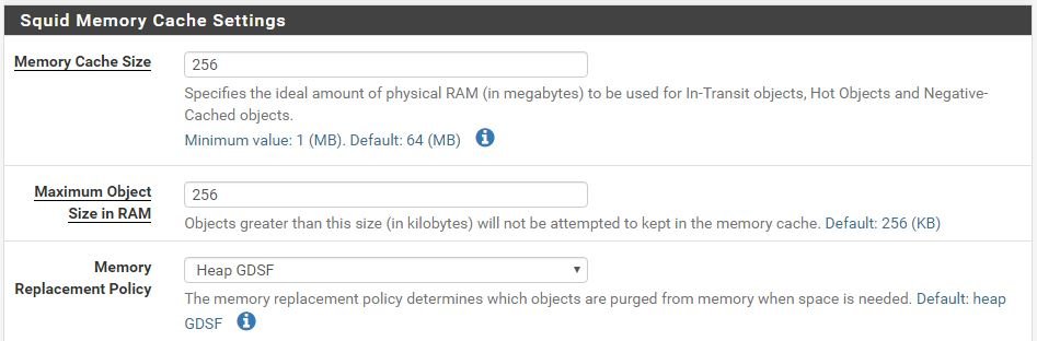 squid memory cache setting pfsense