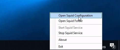 open squid configuration