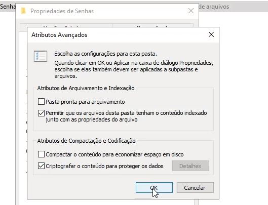 atributos avançados do windows