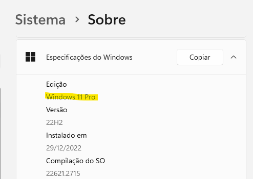 versão do windows 11