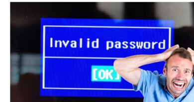 password bios invalid